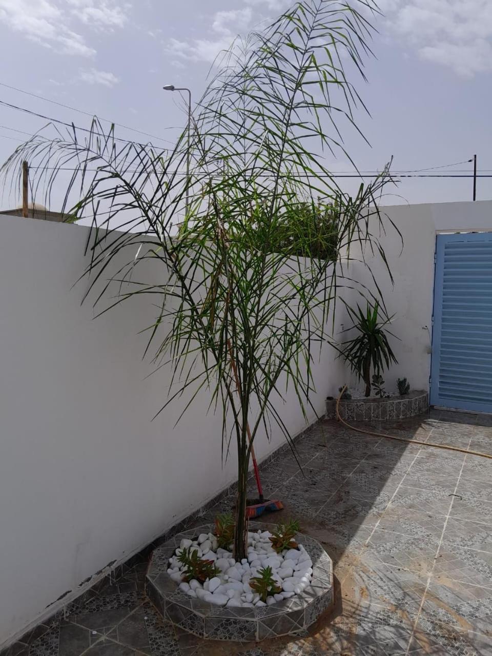 Studio Rouge Cosy A Dar Lili Djerba Mezraia ภายนอก รูปภาพ