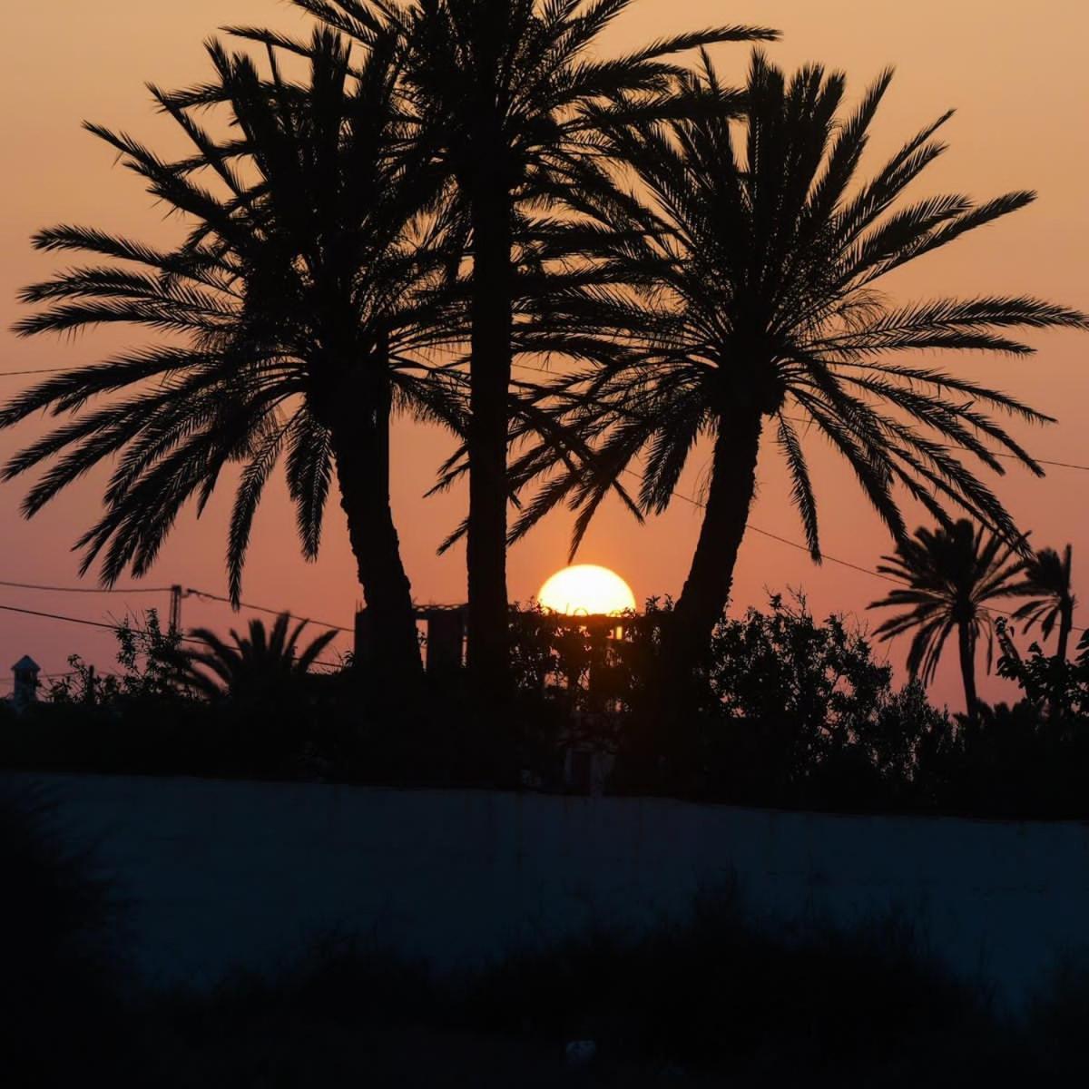 Studio Rouge Cosy A Dar Lili Djerba Mezraia ภายนอก รูปภาพ